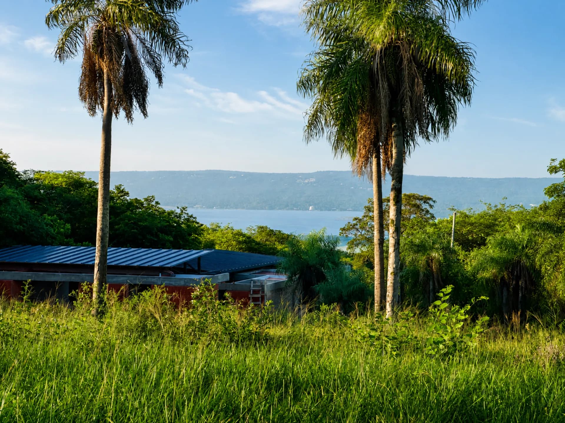 Vista al Lago Ypacaraí entre árboles y palmeras