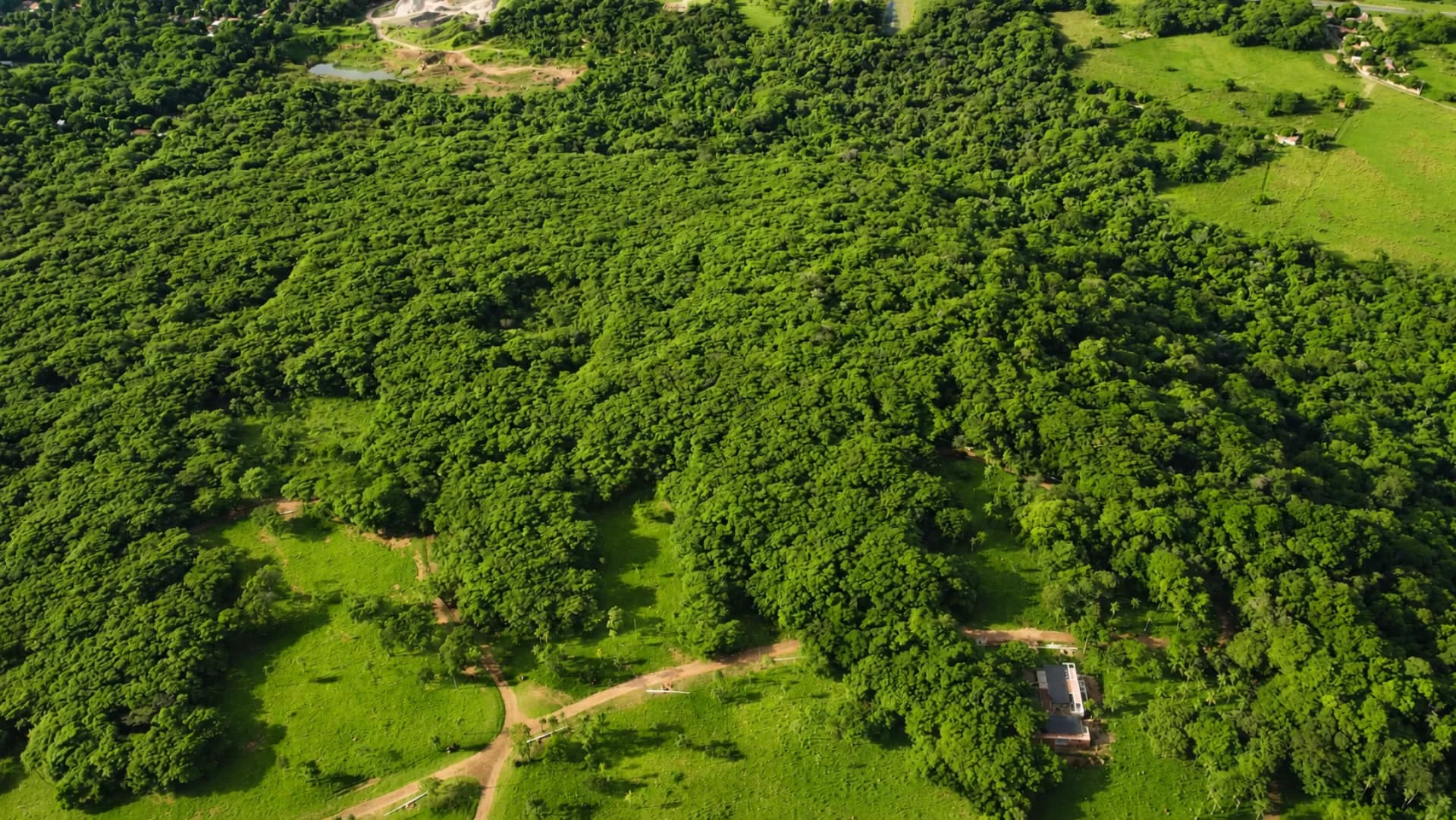 Vista aérea del bosque preservado y lotes en Parquealto
